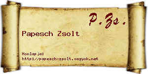 Papesch Zsolt névjegykártya